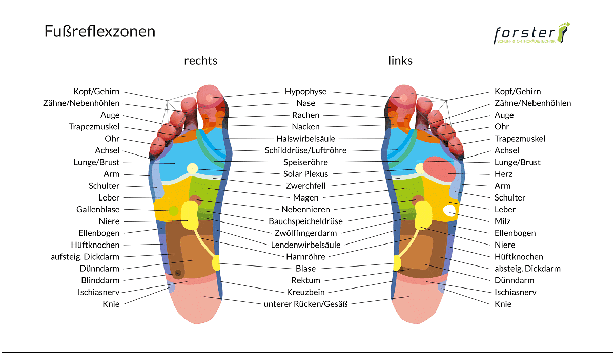Fußreflexzonen Grafik